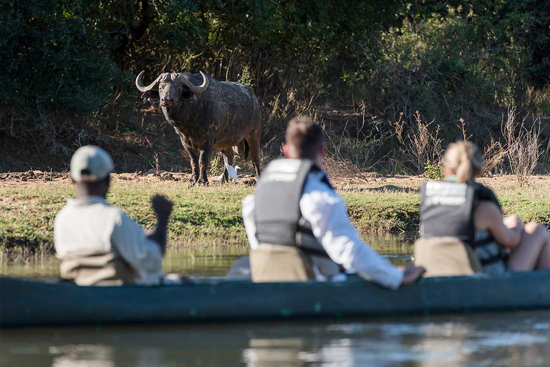 Lower Zambezi Experience: Independent 3 Lower Zambezi Experience: Independent 3