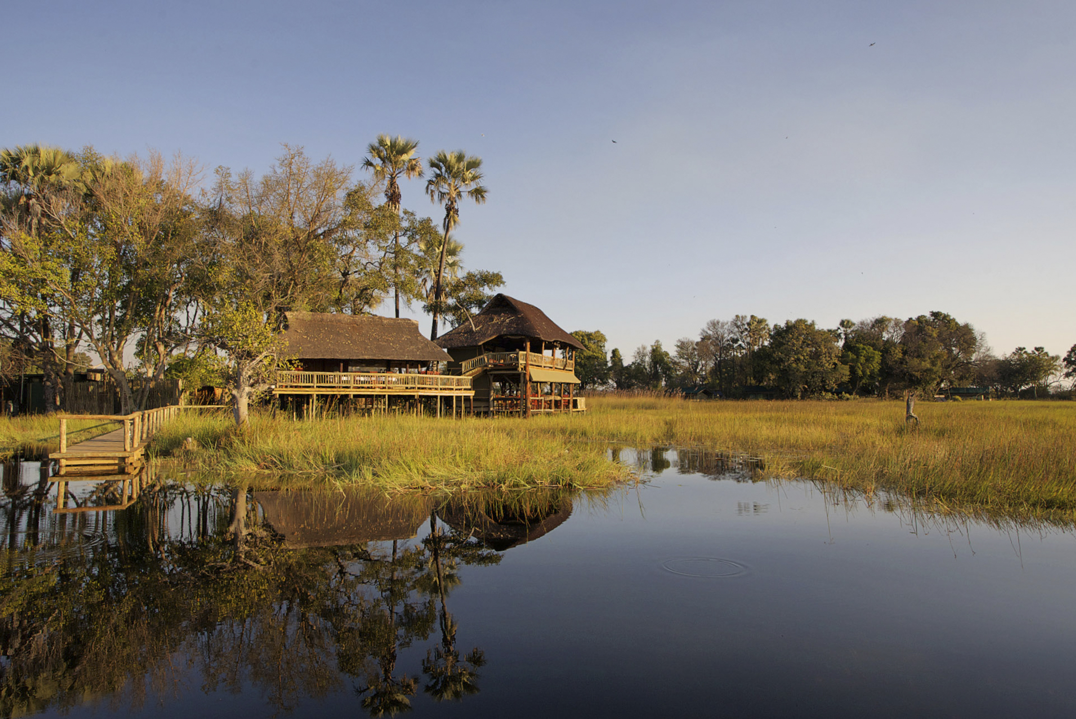 Okavango Delta Experience - Independent 3 Okavango Delta Experience - Independent 3