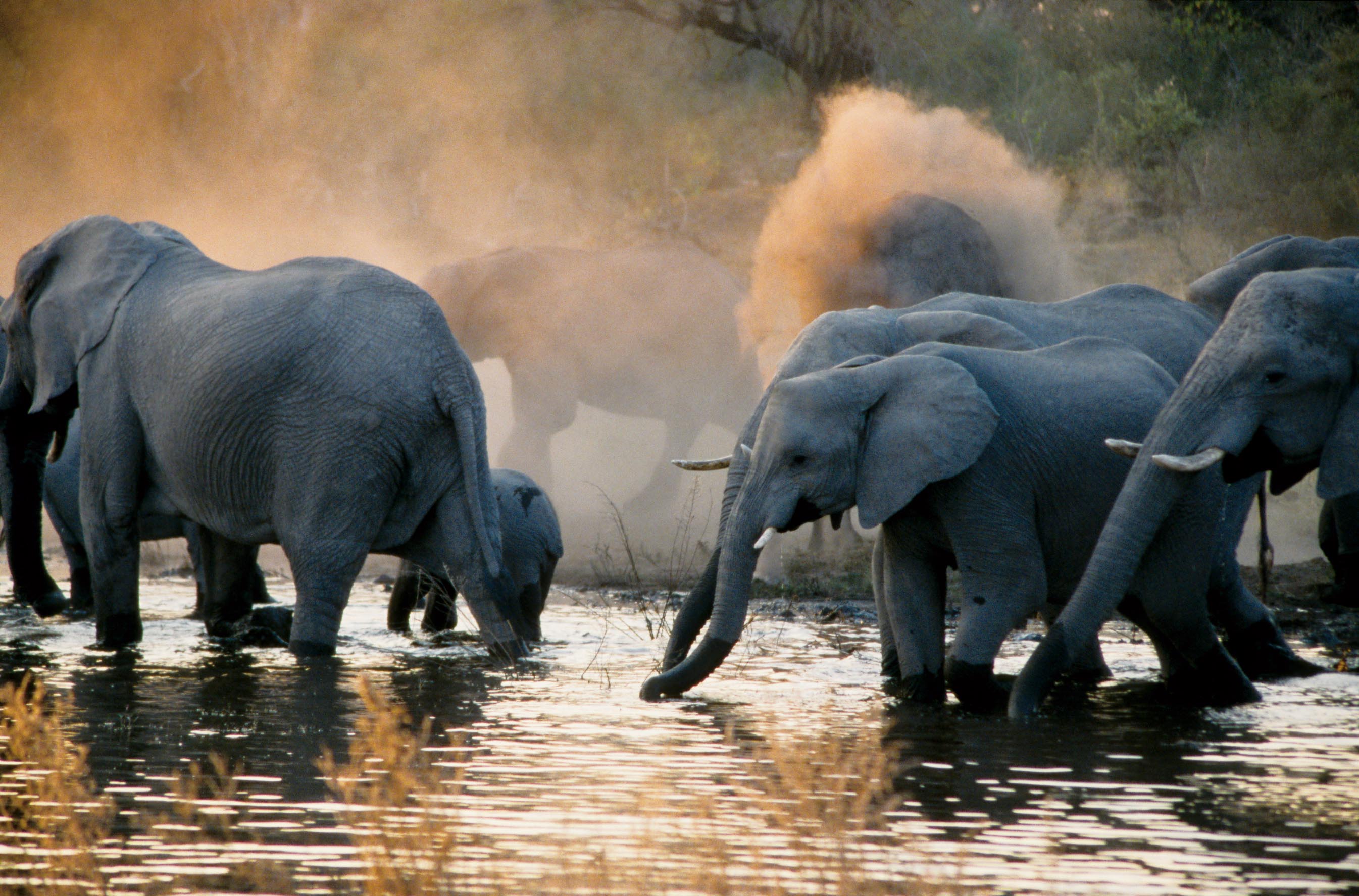 Ultimate Southern Africa 2 Ultimate Southern Africa 2