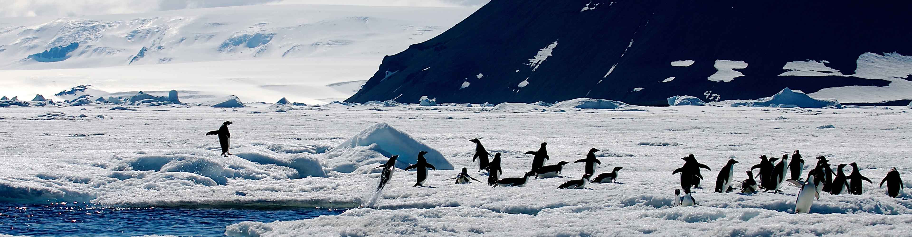 Antarctic Explorer from Ushuaia 12 day